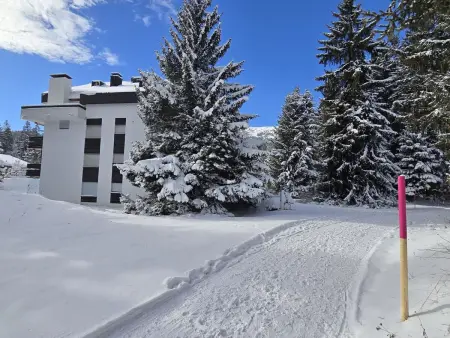Belmont Seegarten, Appartement 2 personnes à Lenzerheide - Photo 29