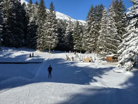 Belmont Seegarten, Appartement 2 personnes à Lenzerheide - Photo 30