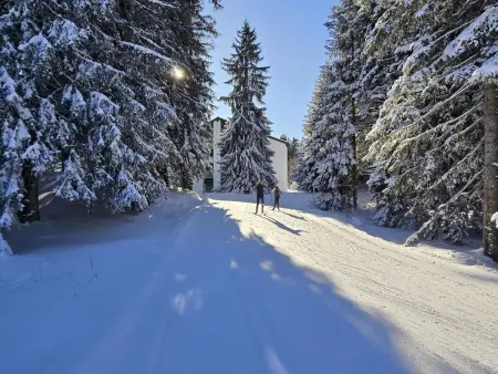 Belmont Seegarten, Appartement 2 personnes à Lenzerheide - Photo 31