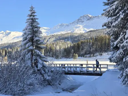 Belmont Seegarten, Appartement 2 personnes à Lenzerheide - Photo 32