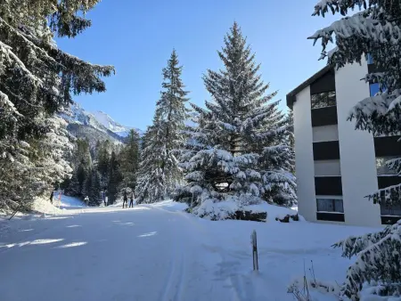 Belmont Seegarten, Appartement 2 personnes à Lenzerheide - Photo 33