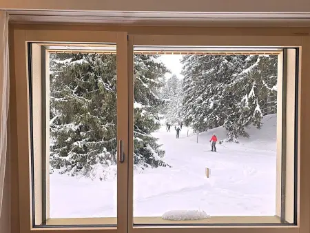 Belmont Seegarten, Appartement 2 personnes à Lenzerheide - Photo 39