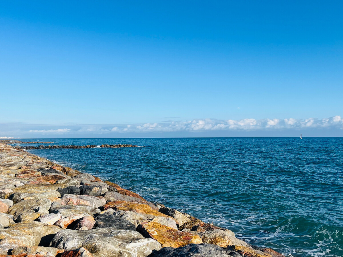 T2 Saint-Cyprien, 200m plage, parking et animaux - Photo 19