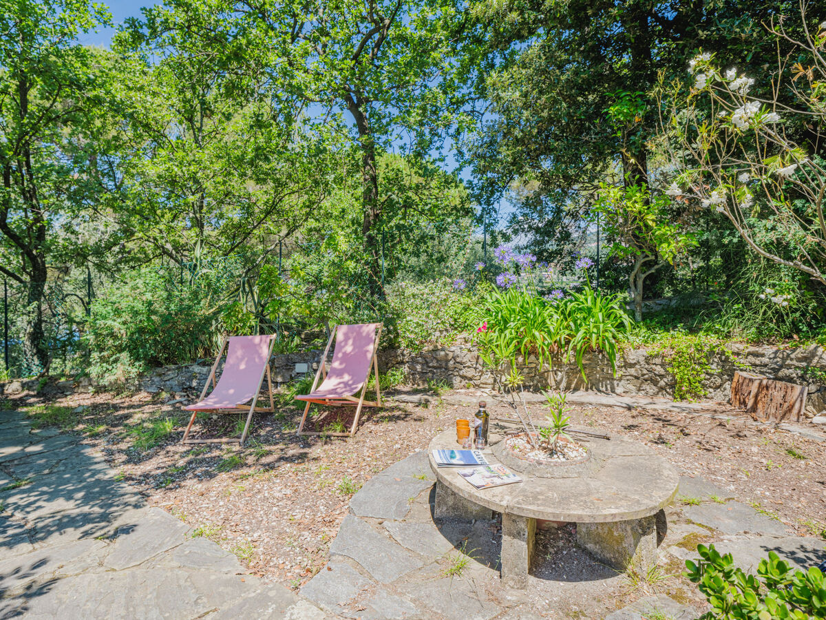 La Ginestra – Appartement vue mer à Zoagli - Photo 5