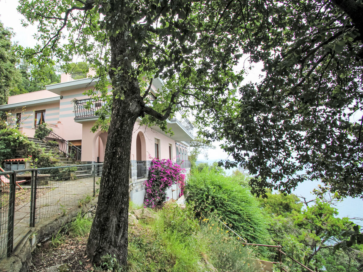 La Ginestra – Appartement vue mer à Zoagli - Photo 33