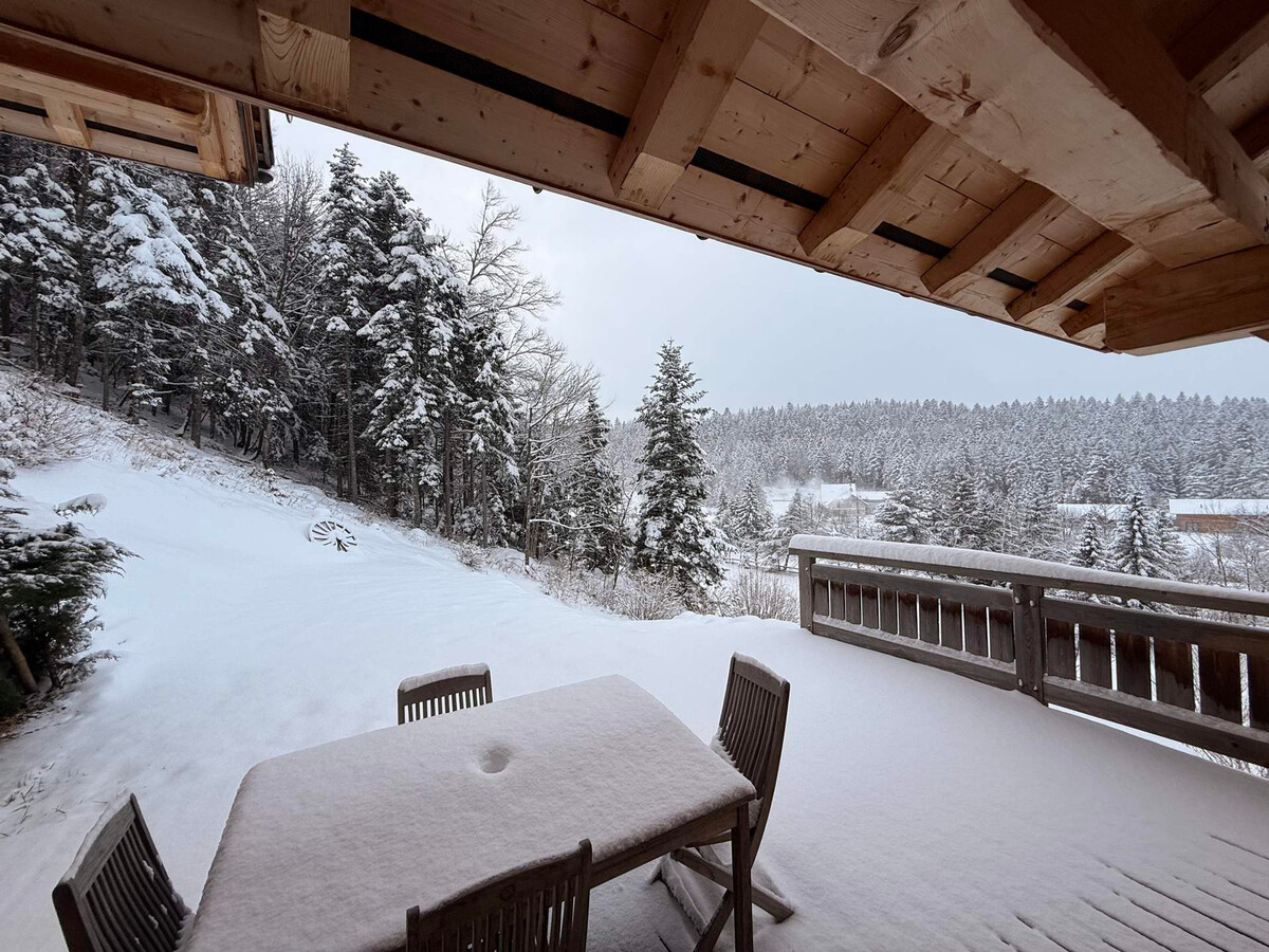 Chalet 10 pers avec sauna et accès direct aux pistes - Photo 18