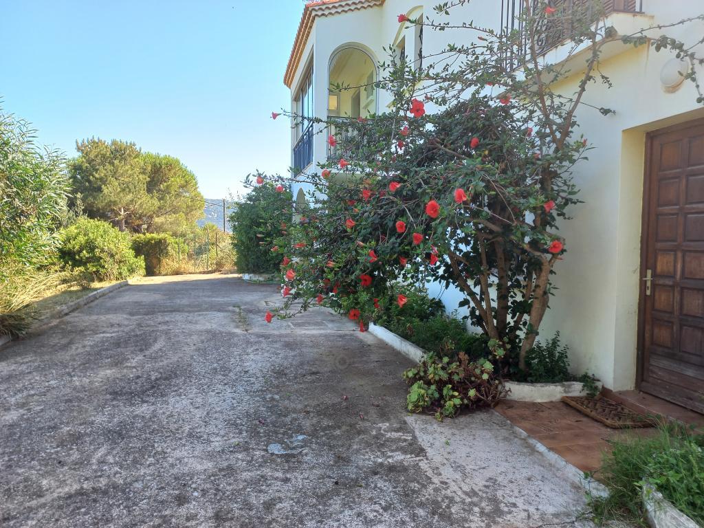 Maison avec grand jardin clos et plage à Casaglione - Photo 6