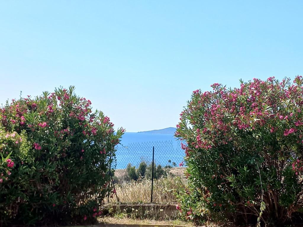 Maison avec grand jardin clos et plage à Casaglione - Photo 16