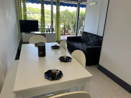 Deux pièces cabine avec piscine et terrasse 32 m² - Port Camargue : photo 7