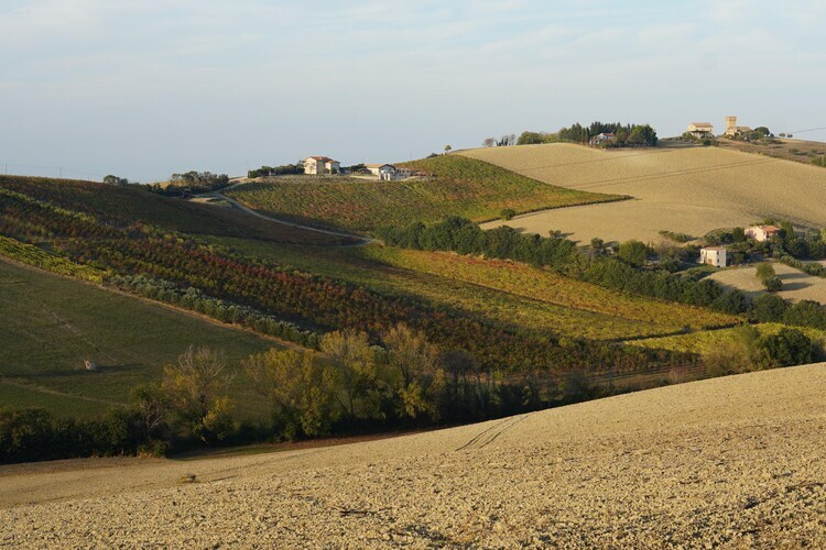 Tenda 2 : glamping en tente climatisée à Fermo - Photo 20
