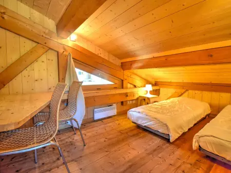 Chalet charmant avec terrasse au pied du Pleney, proche centre et parking - Photo 9
