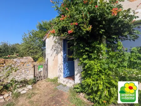 Location gite à Thenay , Maison typique en Berry avec jardin privatif, BBQ et parking