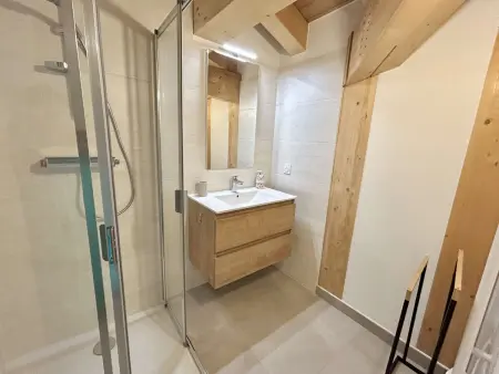 Appartement 3 pièces Combloux, 450 m des remontées : photo 12