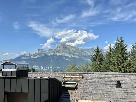 Appartement 3 pièces Combloux, 450 m des remontées : photo 14