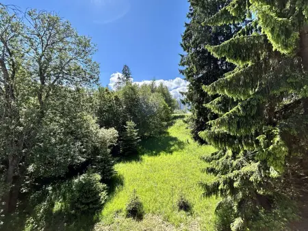 Appartement 3 pièces Combloux, 450 m des remontées : photo 15