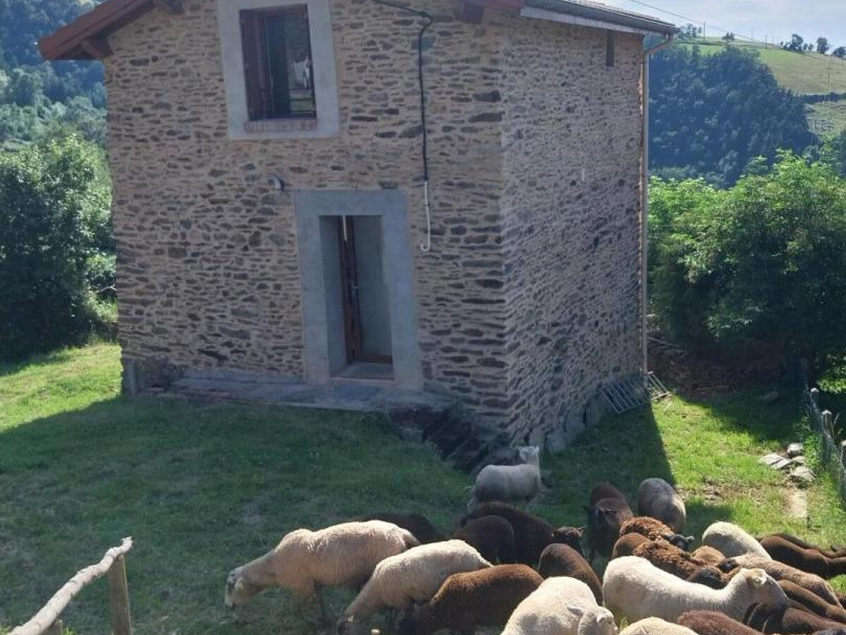 Gîte 4 pers. terrasse 15m² et vue nature à Saint-Chamond - Photo 19