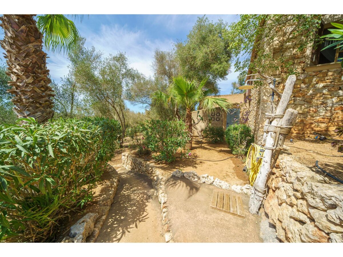 Moli de sa Cova, maison rustique 9 pers. à Felanitx - Photo 38