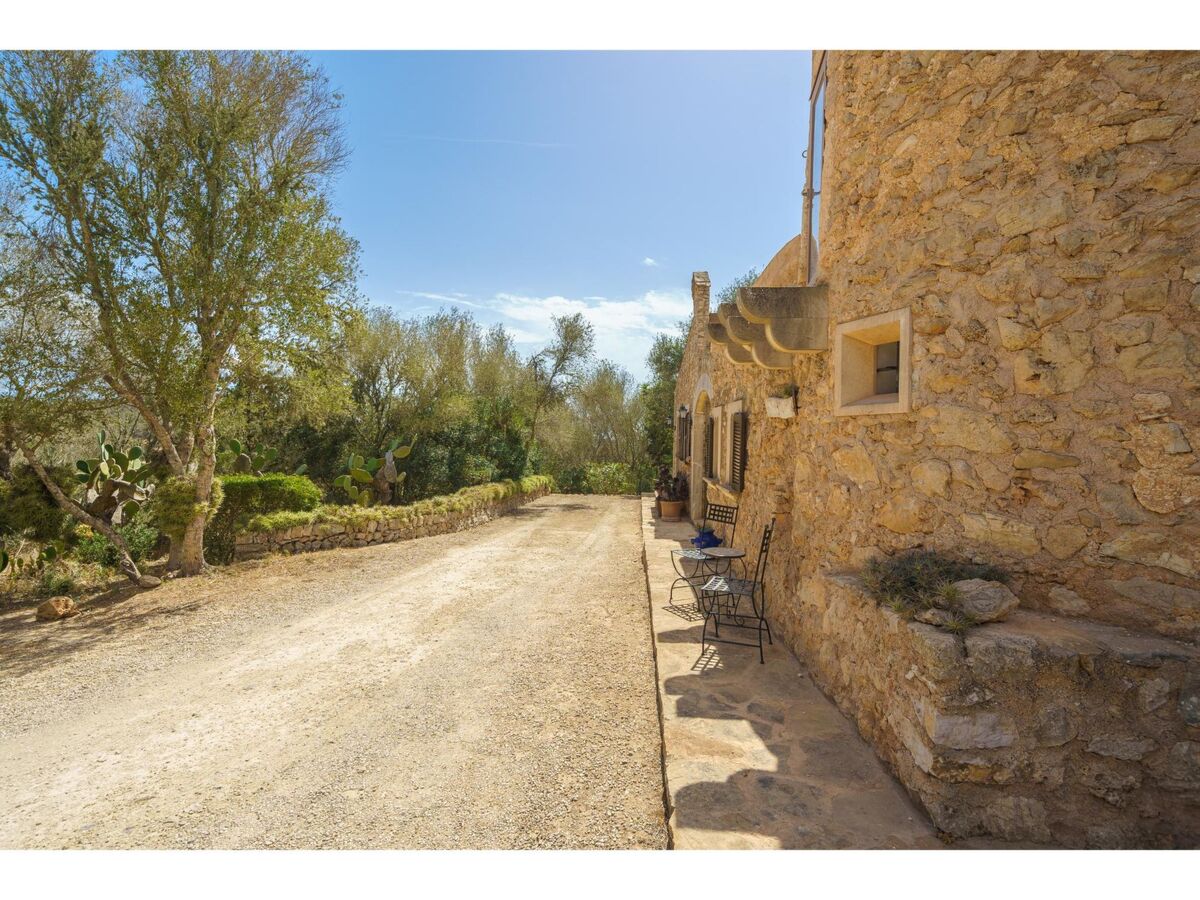 Moli de sa Cova, maison rustique 9 pers. à Felanitx - Photo 53