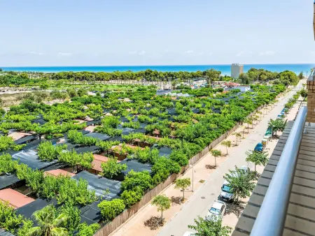 Appartement Costa Azahar, 300m de la mer à Oropesa : photo 25