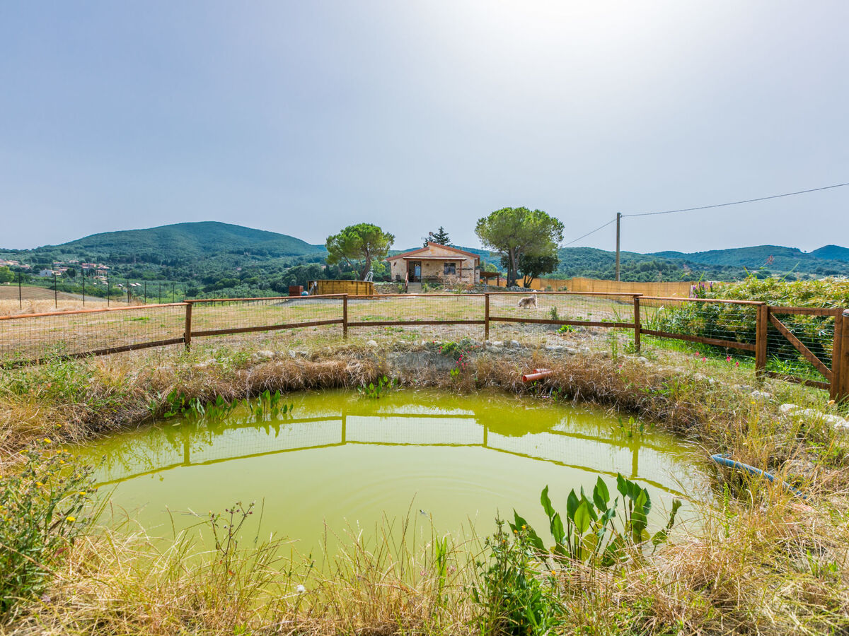 Casaletto Anticaluce – Maison 18e siècle à Pastina - Photo 47