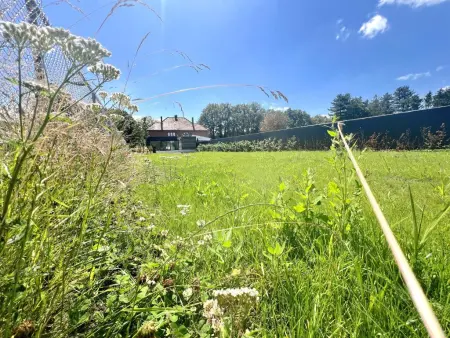 Hestia, maison avec sauna privé en lisière de forêt à Oudsbergen : photo 39