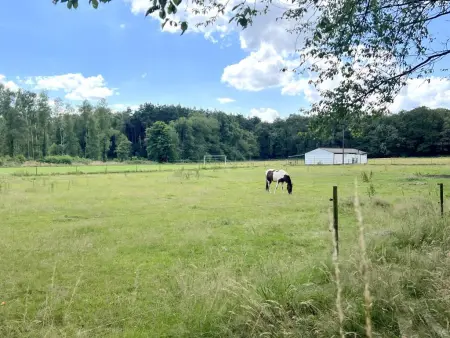 Hestia, maison avec sauna privé en lisière de forêt à Oudsbergen : photo 45