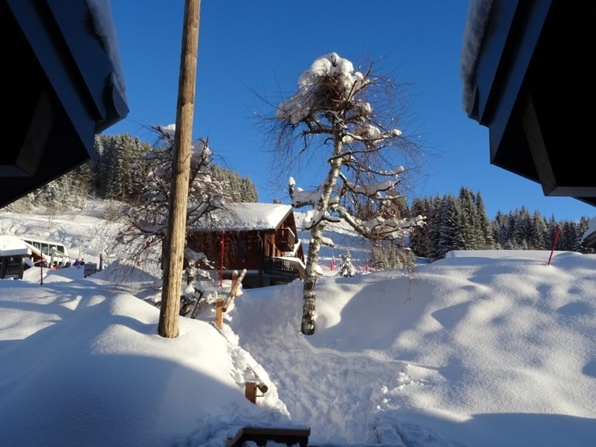 Triplex 5 pièces 8 pers, 50 m pistes, navette gratuite - Photo 18