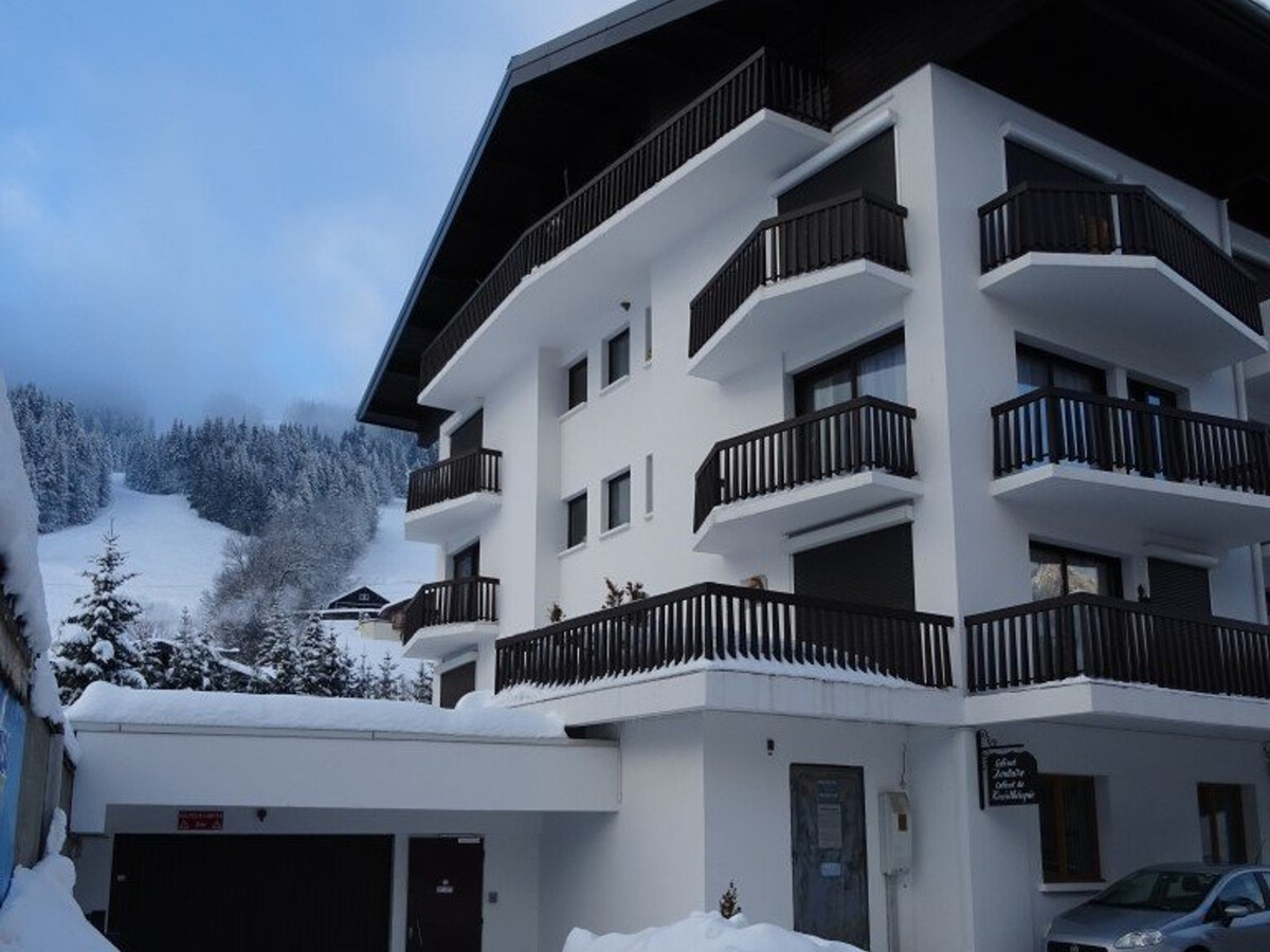 Appart 2 pièces centre Les Gets, garage et box skis - Photo 15