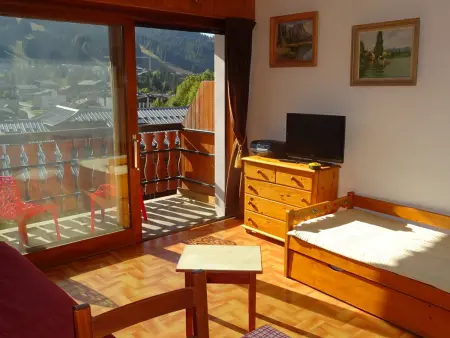 Studio 25 m² Les Gets, vue pistes, parking couvert : photo 3
