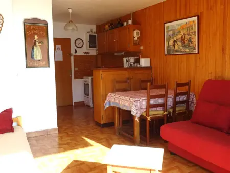 Studio 25 m² Les Gets, vue pistes, parking couvert : photo 4