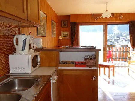 Studio 25 m² Les Gets, vue pistes, parking couvert : photo 8