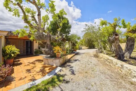 Finca Cladera : maison 6 pers. avec piscine privée à Son Macià : photo 25