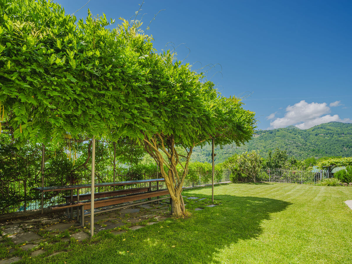 Villa Antica Torre, 7 chambres et vue panoramique - Photo 44