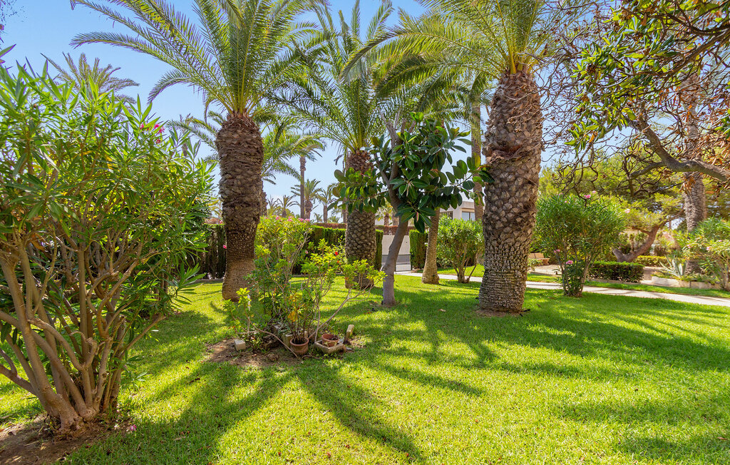 Appartement 6 personnes à Torrevieja - Photo 13