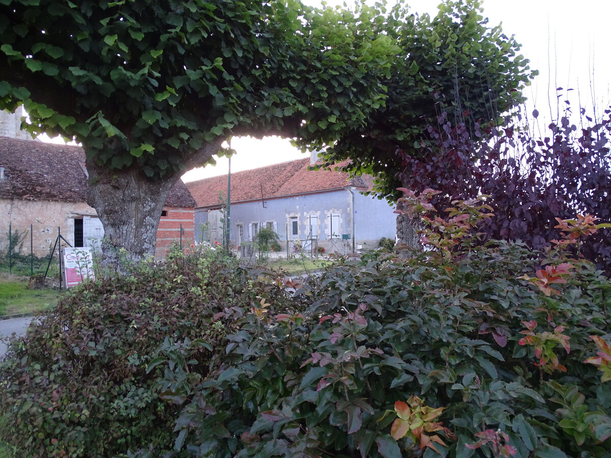 Gîte familial rénové en lisière de forêt d'Orléans - Photo 29