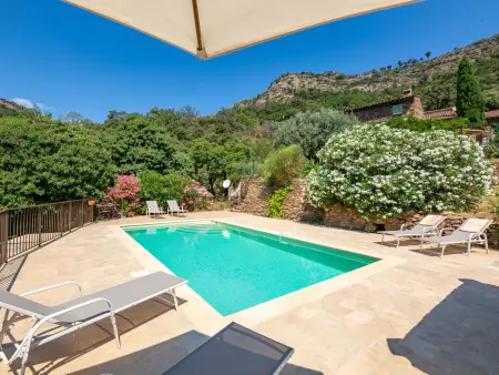 Les Glycines, gîte 8 pers. avec piscine à La Garde Freinet : photo 2