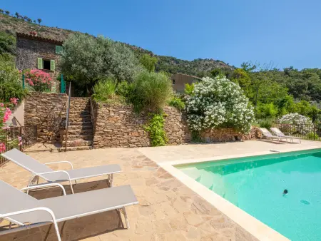 Les Glycines, gîte 8 pers. avec piscine à La Garde Freinet : photo 23