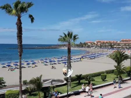 Appartement 1 chambre avec terrasse vue mer à Los Cristianos : photo 12