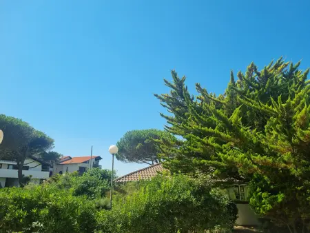 Appartement Seignosse Penon : terrasse, 4 pers, plage à pied : photo 21