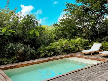Villa AURA 2 - 2 chambres, piscine privée à Anse Marcel : photo 2