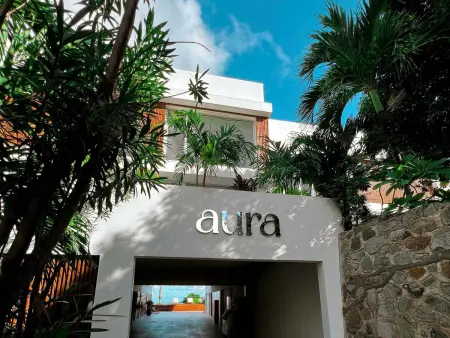 Appartement AURA 1 - Piscine privée sur Anse Marcel : photo 23