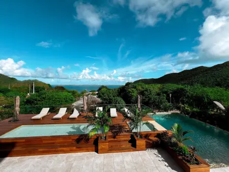 Penthouse 2 niveaux Jacuzzi & Piscine à Anse Marcel : photo 16