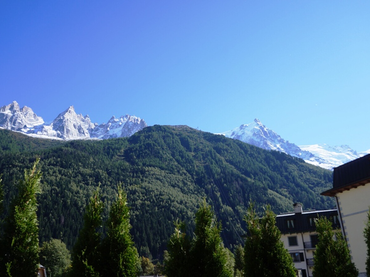 Appartement 2 pièces au cœur de Chamonix avec jardin - Photo 14