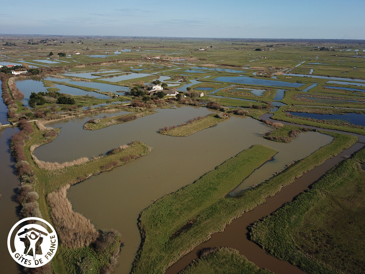 La Borderie du Marais – Gîte 11 pers., jacuzzi et sauna - Photo 21