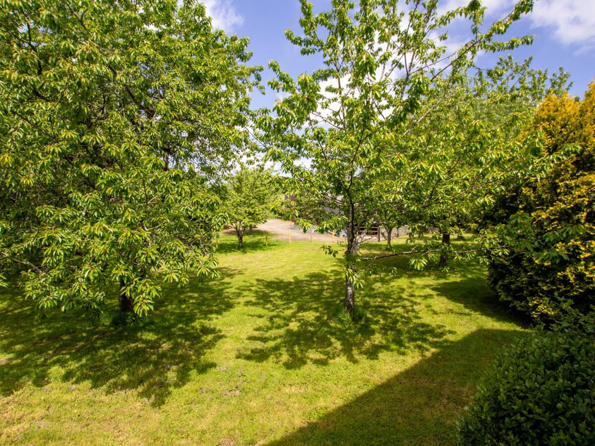 Gîte spacieux 6 pers. avec jardin 3000m², billard et garage électrique - Photo 22