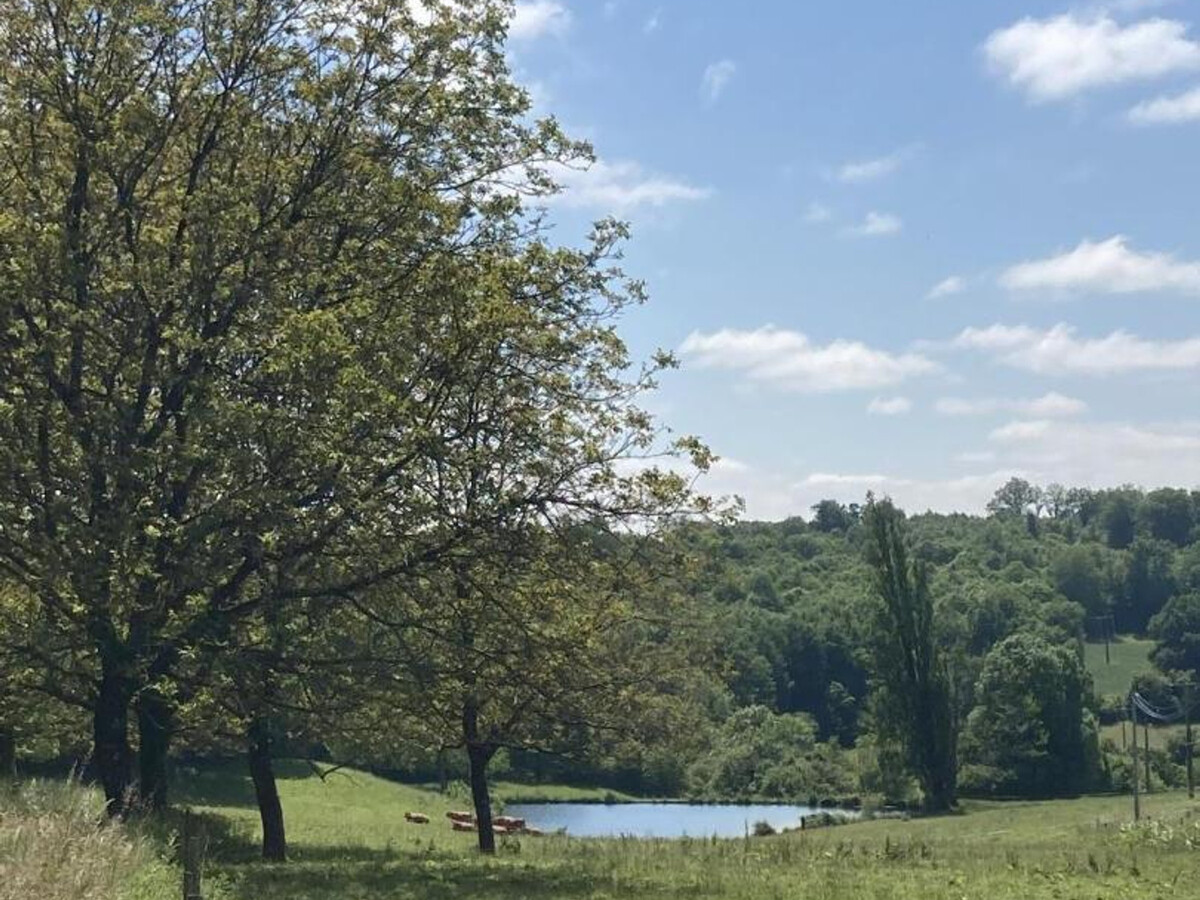 Gîte spacieux 6 pers. avec jardin 3000m², billard et garage électrique - Photo 24