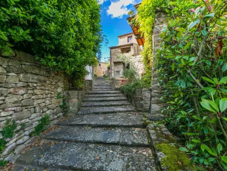 Il Cinghiale, appartement 6 pers. à Gaiole in Chianti : photo 36