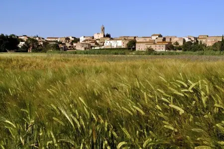 El Pajar Del Empordà – Maison 70m² à Vilaür : photo 5