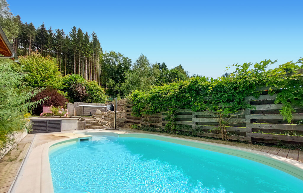 Chalet bois avec piscine chauffée aux Vosges - Photo 1
