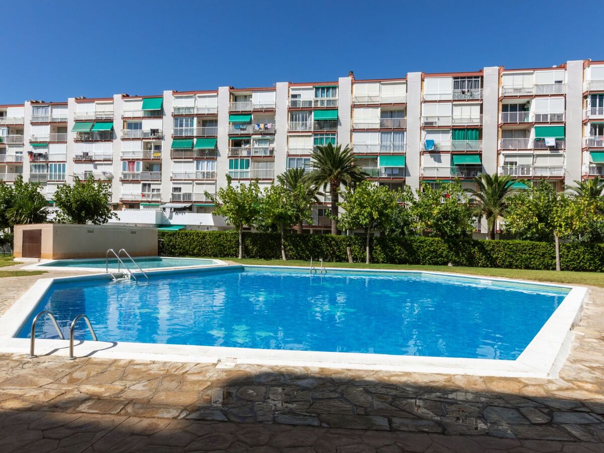 Studio 30 m² Beach La Pineda, 200 m de la plage - Photo 17